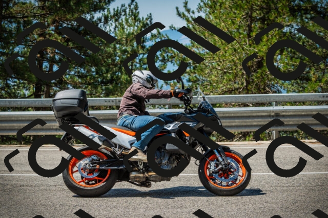 202508091130-DSC03909_c1_