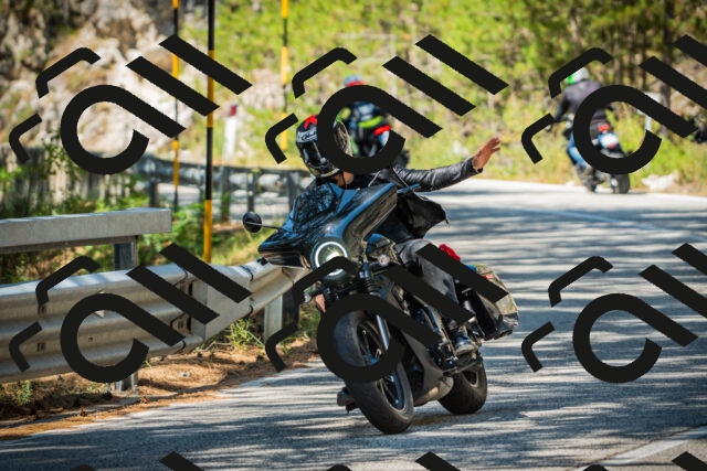 202508091130-DSC03912_c1_