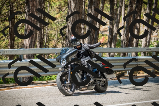 202508091130-DSC03913_c1_