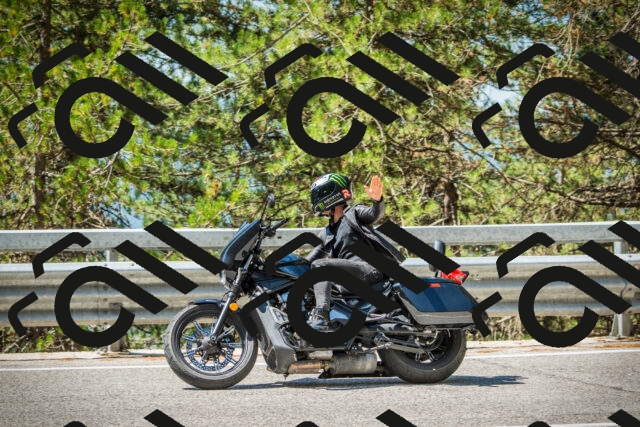 202508091130-DSC03914_c1_