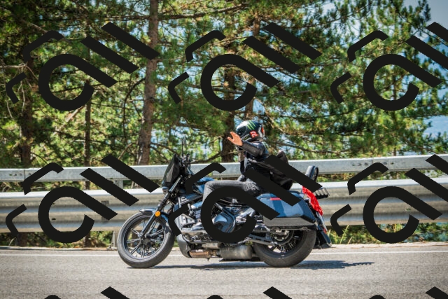 202508091130-DSC03915_c1_