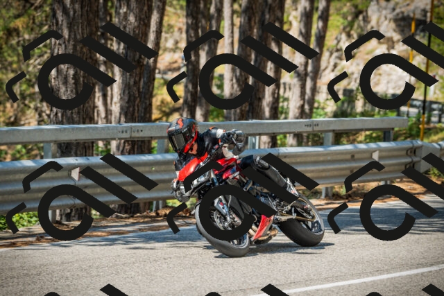 202508091130-DSC03916_c1_