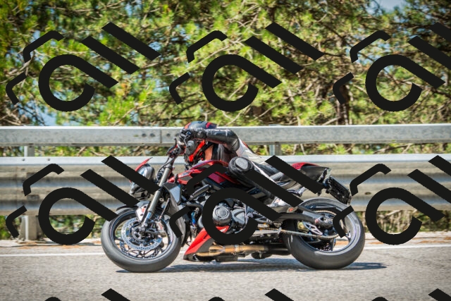 202508091130-DSC03917_c1_