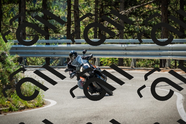 202508091132-DSC03927_c1_