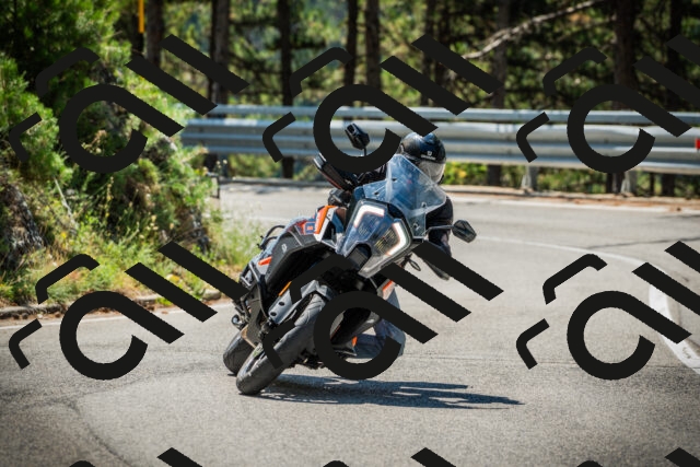 202508091132-DSC03929_c1_