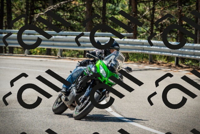 202508091132-DSC03933_c1_