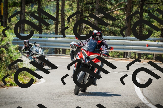 202508091132-DSC03939_c1_