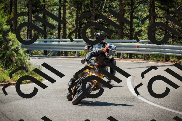 202508091132-DSC03941_c1_