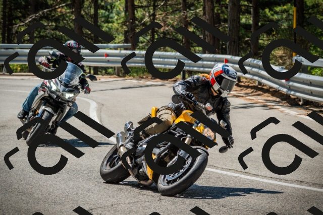 202508091132-DSC03942_c1_