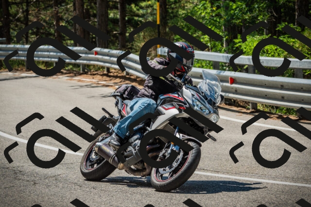 202508091132-DSC03943_c1_