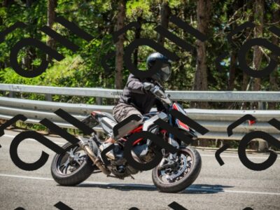 202508091132-DSC03948_c1_