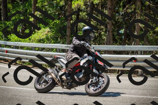 202508091132-DSC03948_c1_