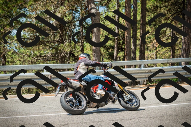 202508091132-DSC03950_c1_