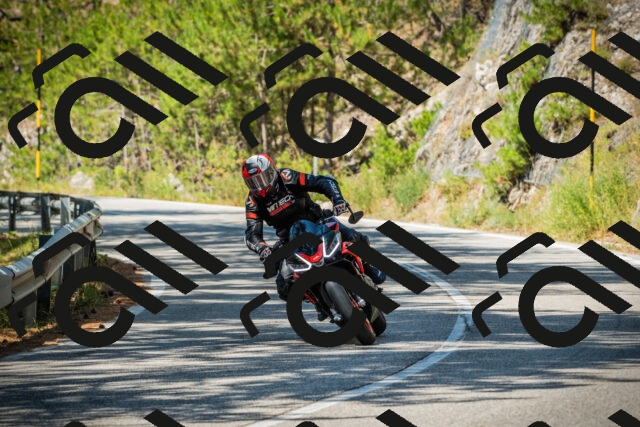 202508091133-DSC03957_c1_