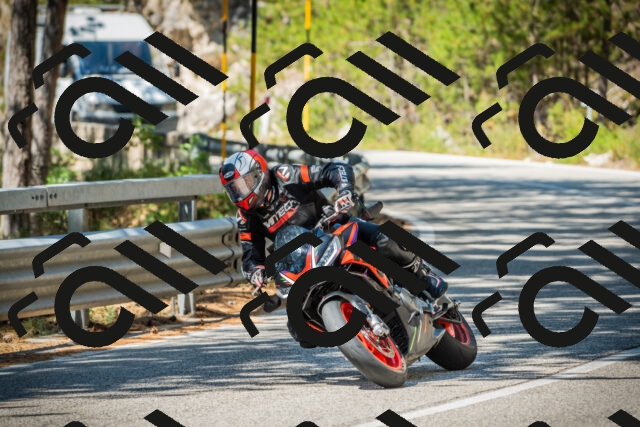 202508091133-DSC03958_c1_