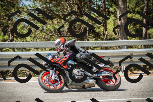 202508091133-DSC03959_c1_