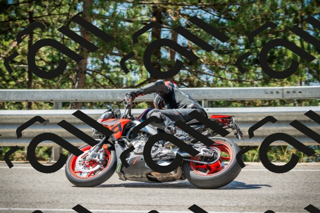 202508091133-DSC03960_c1_