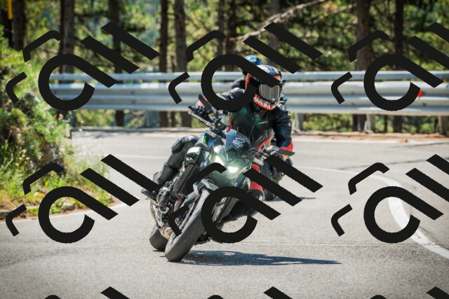 202508091133-DSC03963_c1_