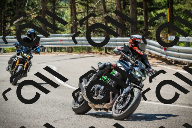 202508091133-DSC03964_c1_