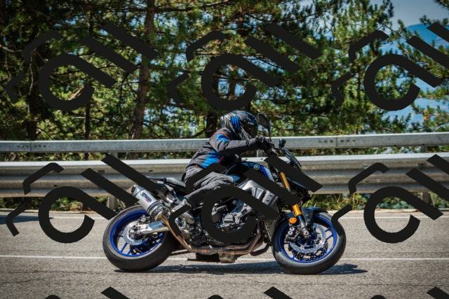 202508091133-DSC03966_c1_