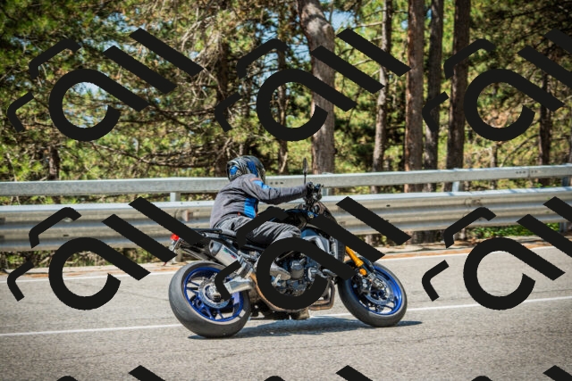 202508091133-DSC03967_c1_