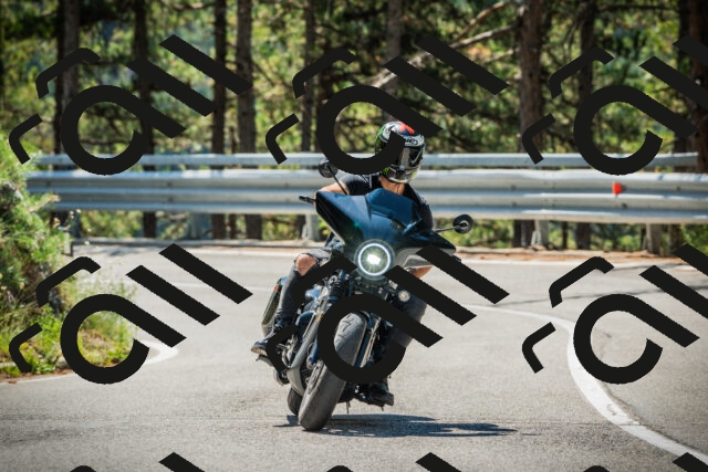 202508091133-DSC03968_c1_