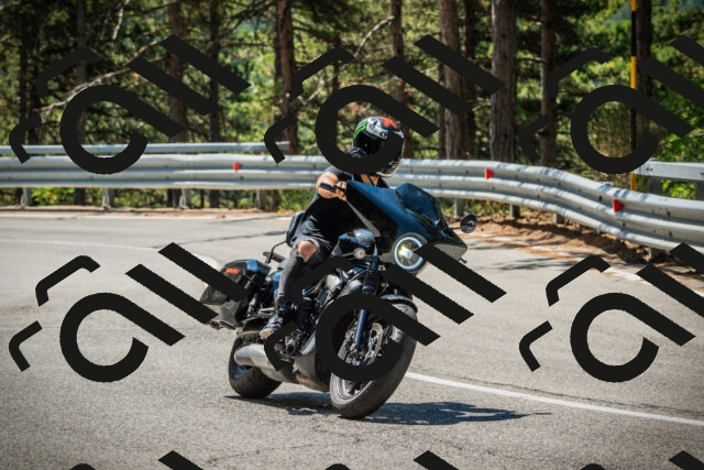 202508091133-DSC03969_c1_