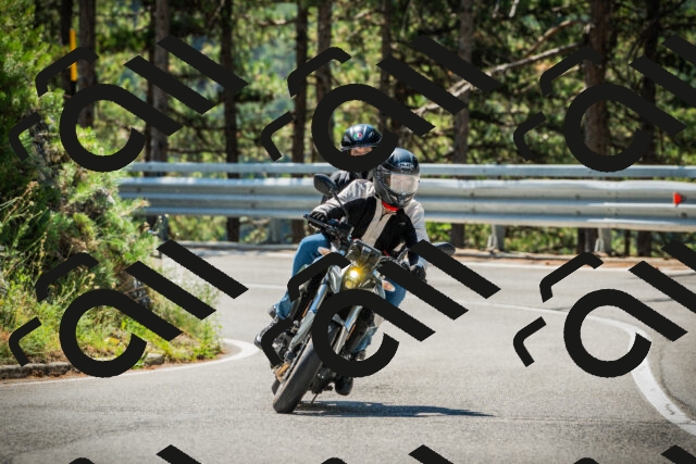 202508091134-DSC03978_c1_