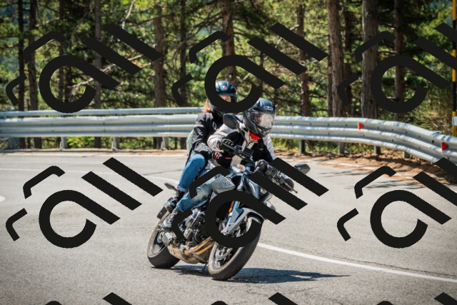 202508091134-DSC03979_c1_