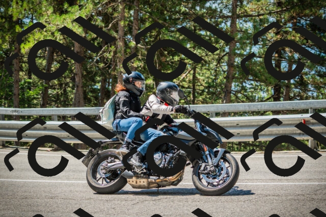 202508091134-DSC03980_c1_