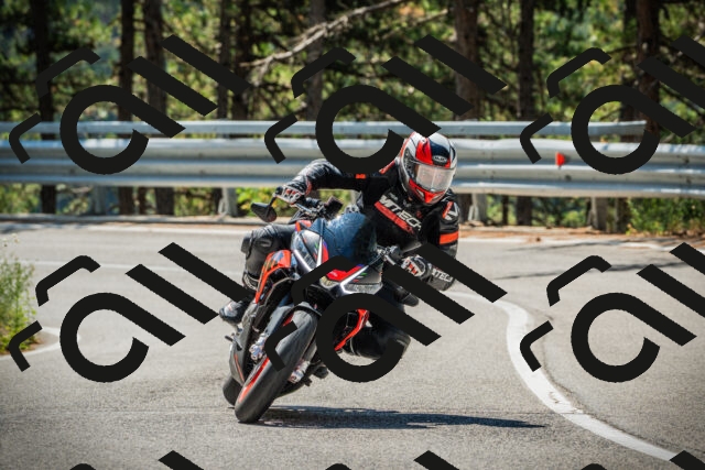 202508091134-DSC03985_c1_