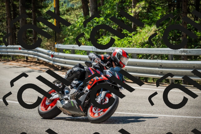 202508091134-DSC03986_c1_