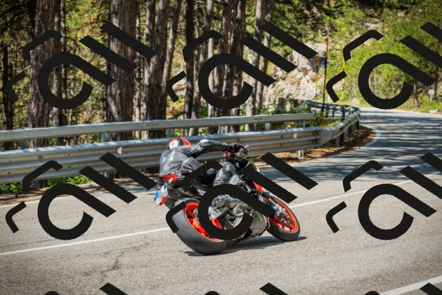 202508091134-DSC03988_c1_