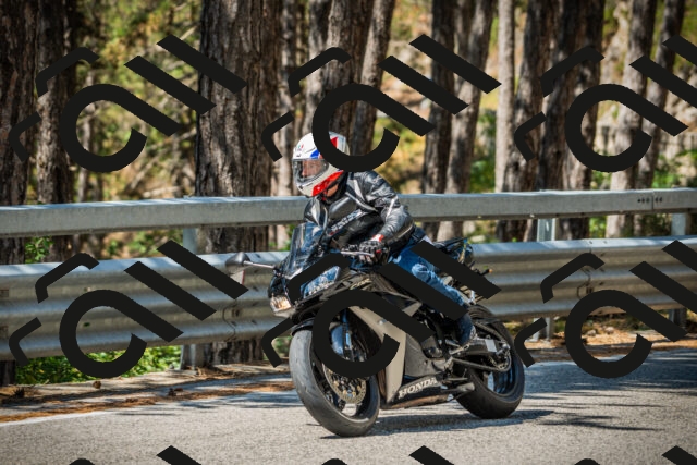 202508091135-DSC03989_c1_