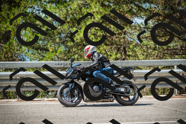 202508091135-DSC03990_c1_