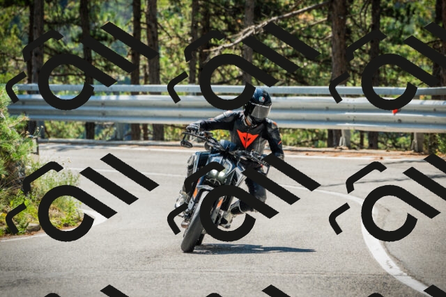 202508091136-DSC03993_c1_