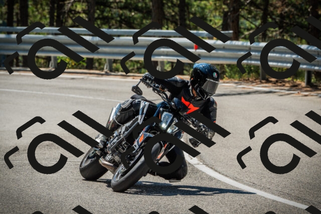 202508091136-DSC03994_c1_