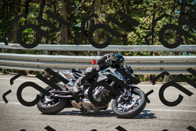 202508091136-DSC03995_c1_