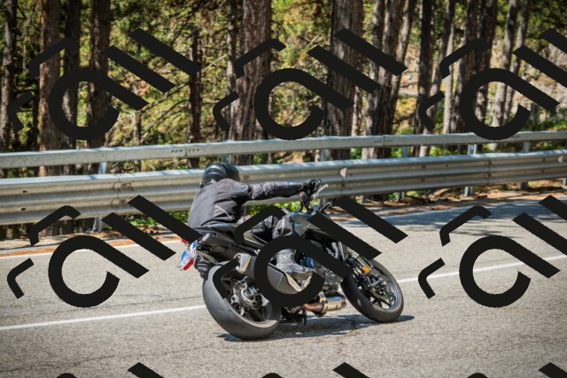 202508091136-DSC04000_c1_