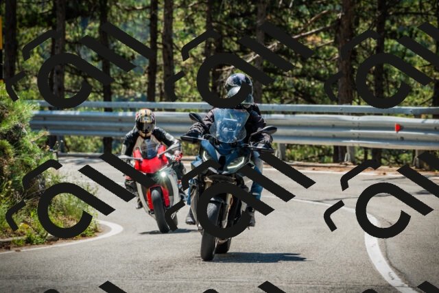 202508091136-DSC04001_c1_