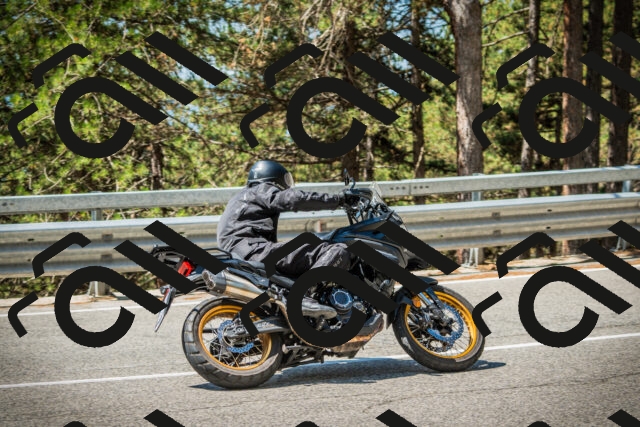 202508091136-DSC04008_c1_