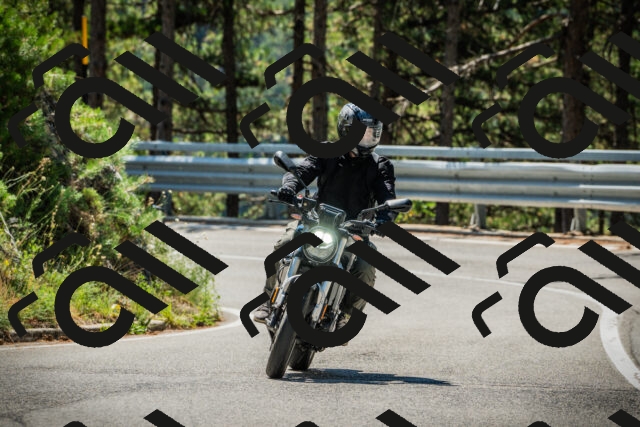 202508091137-DSC04010_c1_