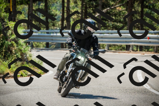 202508091137-DSC04011_c1_