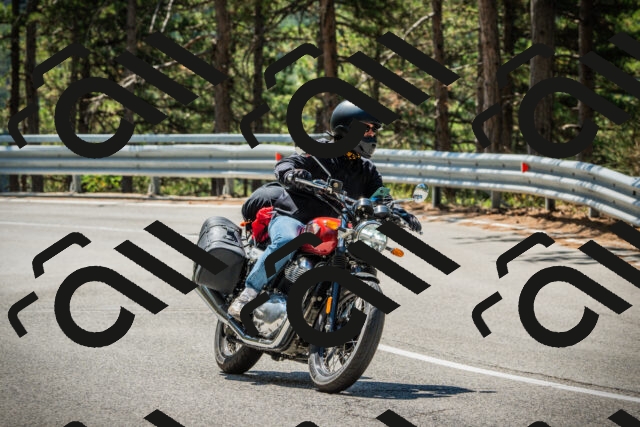 202508091137-DSC04018_c1_