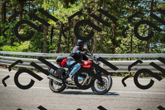 202508091137-DSC04019_c1_