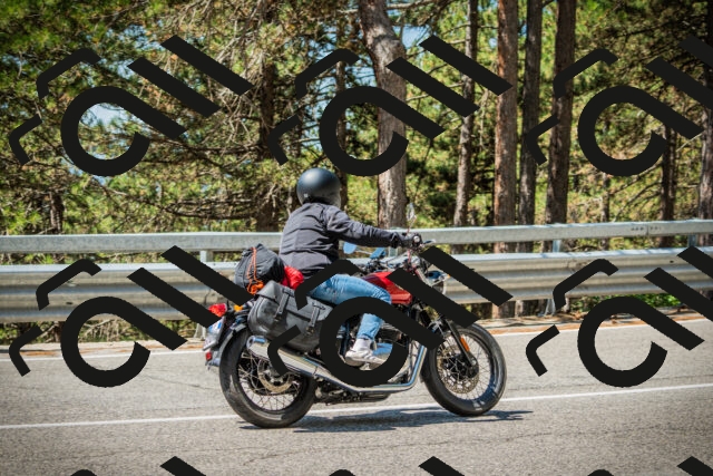 202508091137-DSC04021_c1_