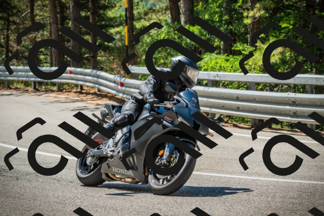 202508091139-DSC04039_c1_