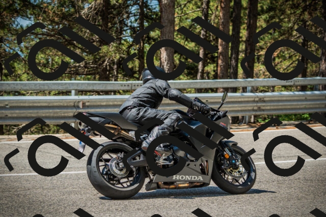 202508091139-DSC04041_c1_