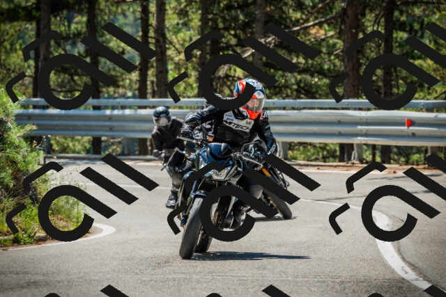 202508091139-DSC04044_c1_