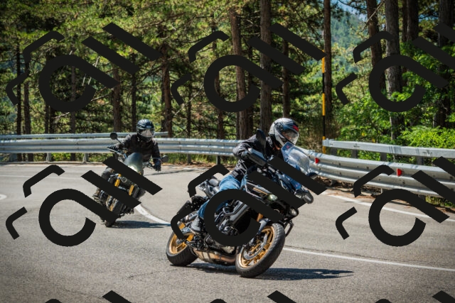 202508091139-DSC04047_c1_